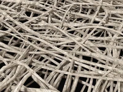 Ceiling white branch decor n1 3D model