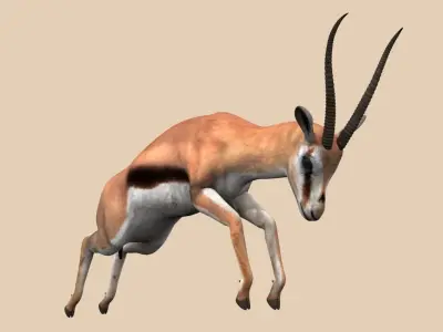 PRO Gazelle Low-poly 3D model
