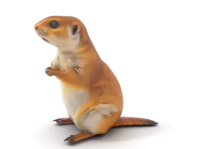 Golden Prairie Dog model pack Low-poly 3D model