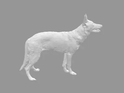 Malinois for 3d printing 3D print model 3D model 3D model
