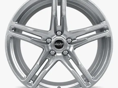 Carroll Shelby Wheel Company CS14 Wheel Chrome Powder Mustang Low-poly 3D model