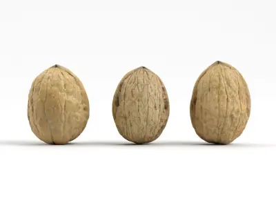 Three Different Photorealistic Walnut 3D Scans 3D model