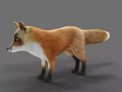 Hair Fur Red Fox 02 Low-poly 3D model