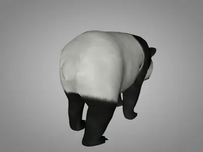 Panda or China bear Low-poly 3D model