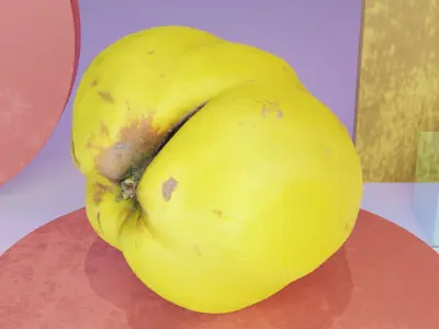 Quince fruit 05 high-poly 3D model