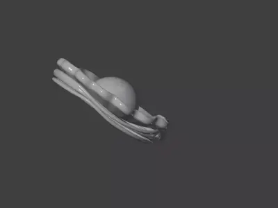 Pearl Shell Diamond Brooch 3D print model