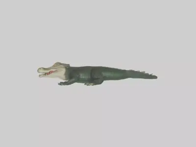 Caiman lurking in water model Low-poly 3D model