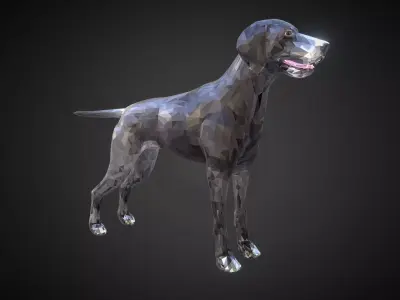 Dog Kurtshaar Grey Low Polygon Art Animal Low-poly 3D model