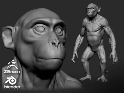 Monkey  3D model
