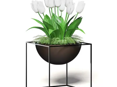White Tulips 3D Model 3D model