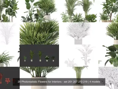 20 Photorealistic Flowers for Interiors - set 201 207 213 219 3D Model Collection