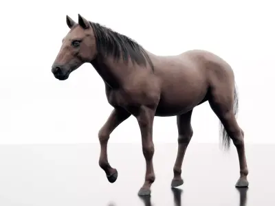 Horse - Realistic Low-poly 3D model