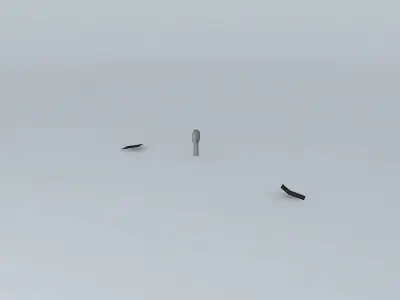 Racetrack Confusion In an Illusion Free 3D model