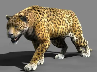Leopard A jaguar - jaguar 3D model