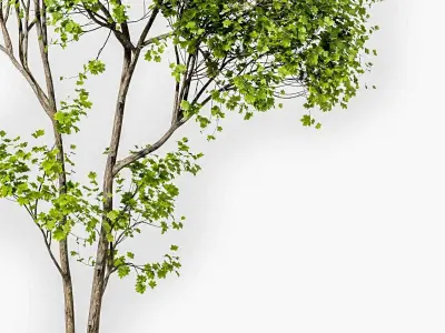 landscape Tree Modern 3D model