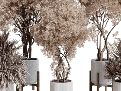 Indoor plant set 423 tree autumn with dried plant 3D model