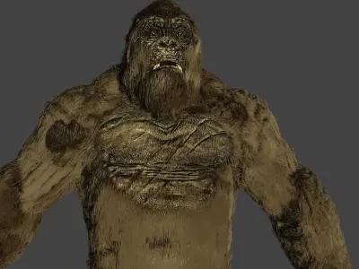 kong 2021 rig Free 3D model