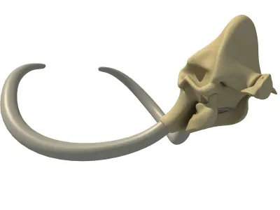 Woolly Mammoth Skull 3D model