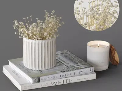 Decor Gypsophila Set 25 3D model