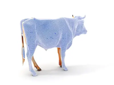 Realistic Cow model pack for animation and games Low-poly 3D model purchase