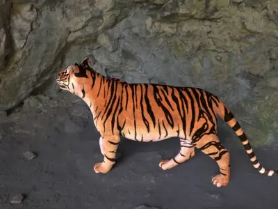 Tiger 3D model get