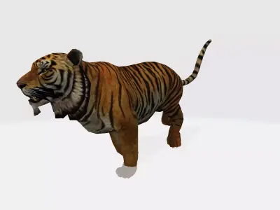 Tiger rigged  3D model