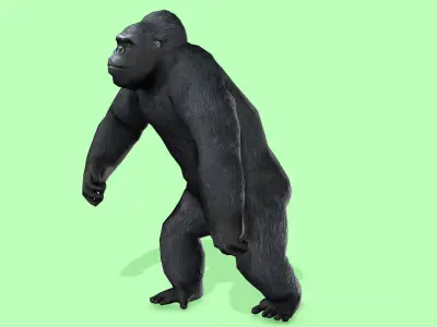 Gorilla Rigged Animated 9 Low-poly 3D model