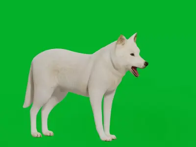 Arctic Polar Wolf Low-poly 3D model