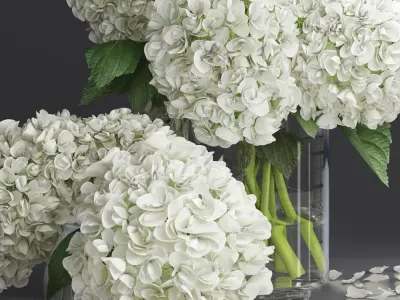 Hydrangea and peony Bouquet Flower plant Vase decorative set 3D model