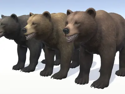 BEAR - FEMALE Low-poly 3D model
