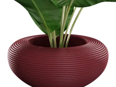qeeboo nami planter 3D model