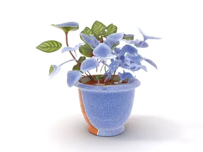 Ornate Copper Plant model pack Low-poly 3D model