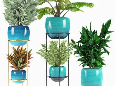 Collections Plants 07 3D model