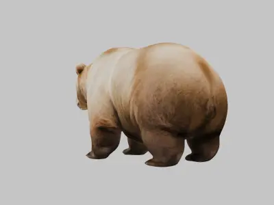 Extremely Obese Cartoon Bear 3D Model Low-poly 3D model