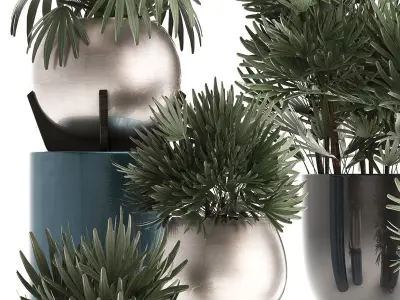 Rhapis excelsa palms 3D model