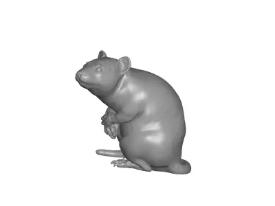 Rat - 3D model