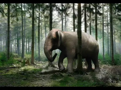 Asian Elephant with Rig Low-poly 3D model