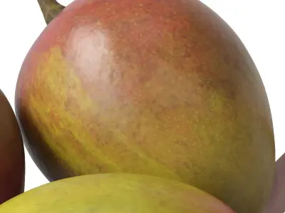 Nested bowl with mango 3D model