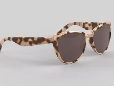 Blush Eyewear Glasses Low-poly 3D model