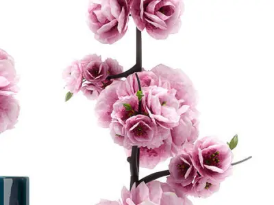 FLOWER  SPRING FLOWERS 3D model