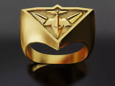 Essendon Australia Football Fans 3D print model 3D print model