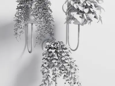 collection Indoor plant 101 vase metal stand wall plant 3D model