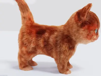 Hair Fur Cute Cat kitten No Rig Low-poly 3D model