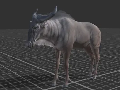 Wildebeest Low-poly 3D model