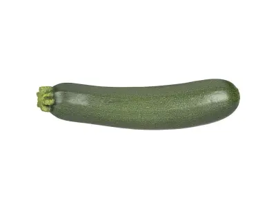 Photorealistic Zucchini 3D Scan 3D model