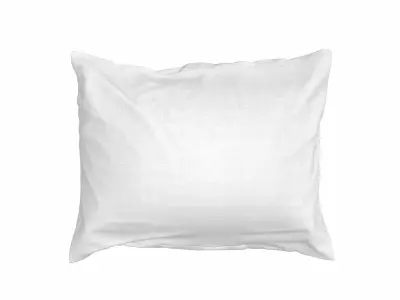 Solid Pillow 11 Low-poly 3D model