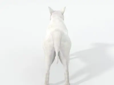 Bull Terrier Low-poly 3D model purchase