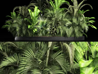 Plants Collection 209 Gardening Plants 3D model