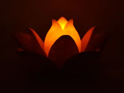 Multifunctional Lotus Flower 3D print model
