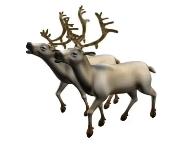 reindeer 3D Model two 3D model